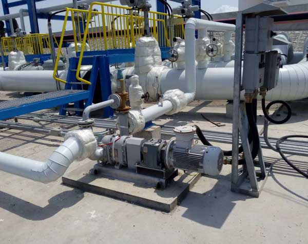 凸輪式轉(zhuǎn)子泵的日常維護(hù)方法