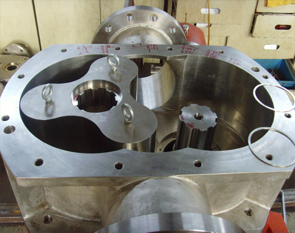 不銹鋼高粘度轉(zhuǎn)子泵推薦哪個品牌