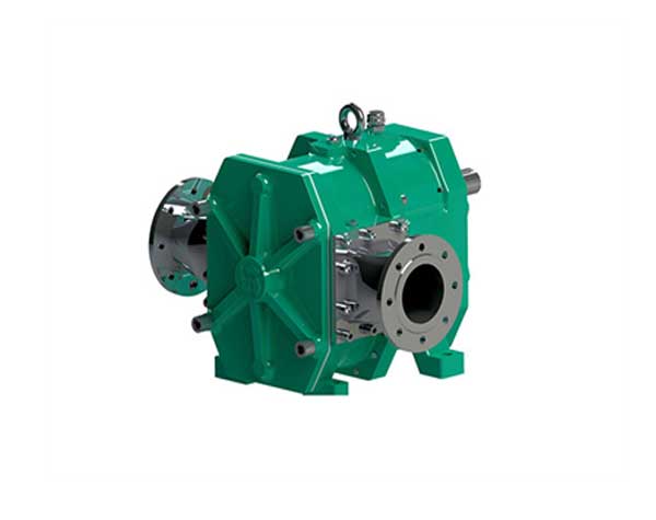 轉(zhuǎn)子泵品牌可以從哪些方面開始進(jìn)行挑選