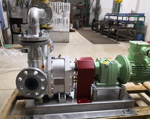 轉子泵廠家哪些值得信賴